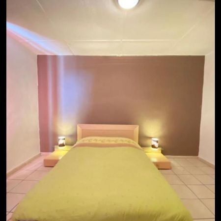 Belle Appartement Chaleureux A 2 Mn A Pied Du Tramway. Σαιντ-Ετιέν Εξωτερικό φωτογραφία